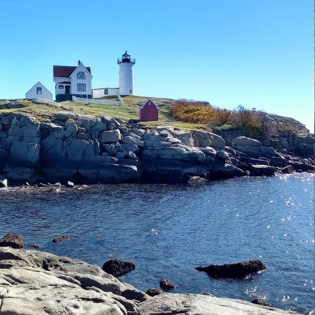 Foraging for yarn in New England